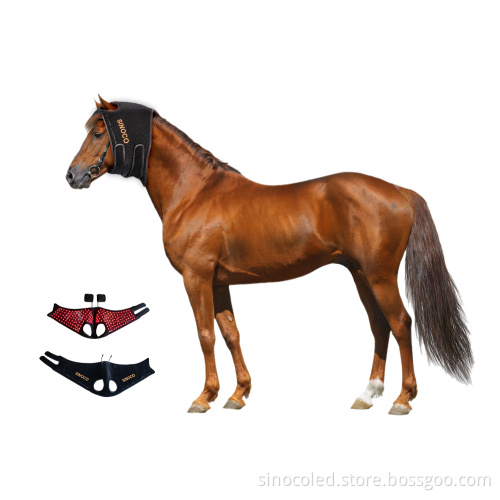850nm Horse Red Light Therapy Cap for Pet Dogs & Equine Care